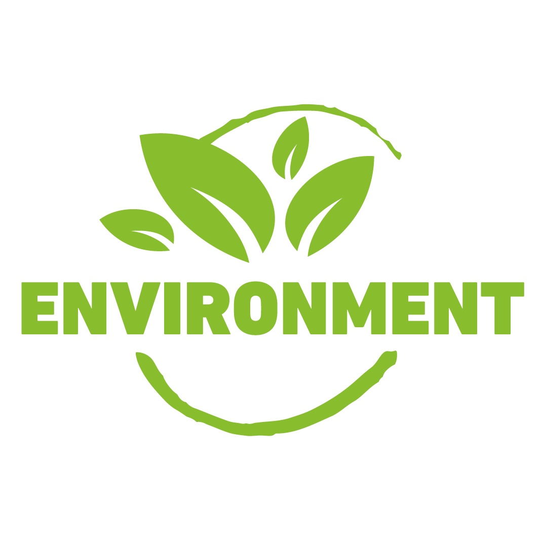 EPD – ENVIRONMENTAL PRODUCT DECLARATION - PAP